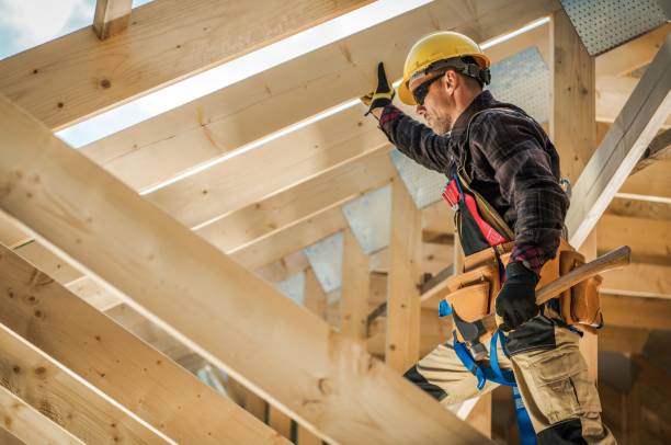 Best Roof Gutter Cleaning  in Central City, IL