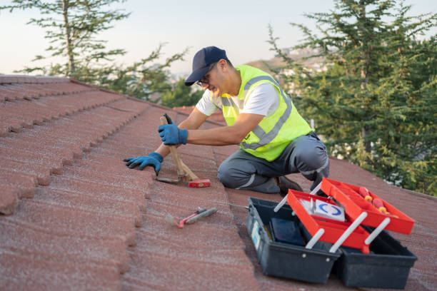 Best Metal Roofing Contractor  in Central City, IL