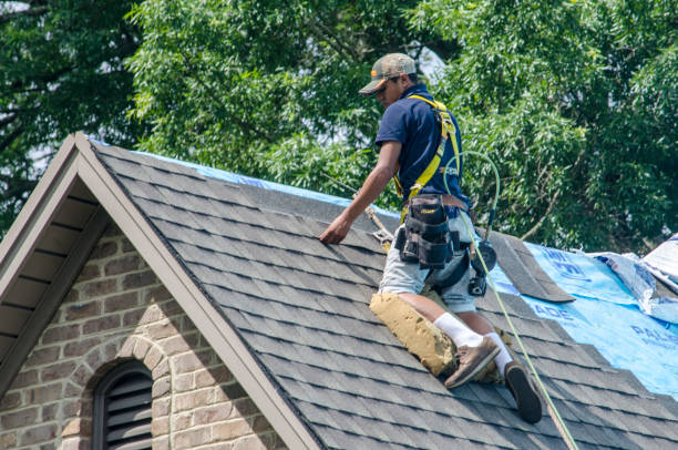 Best Roof Inspection Near Me  in Central City, IL